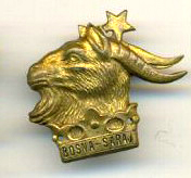 Bosna Saraj Bosna Saraj