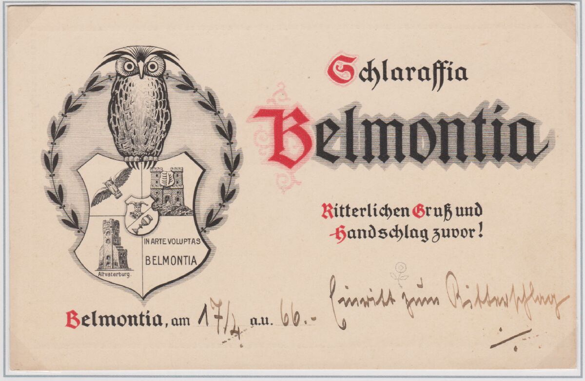 Belmontia